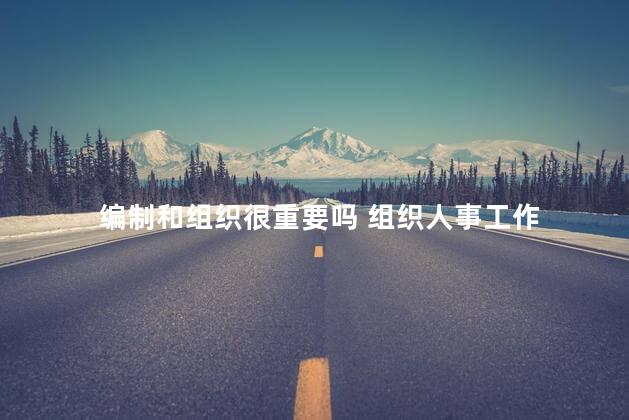 编制和组织很重要吗 组织人事工作